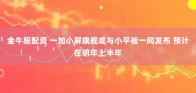 金牛股配资 一加小屏旗舰或与小平板一同发布 预计在明年上半年